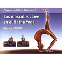 Los músculos clave en el Hatha Yoga