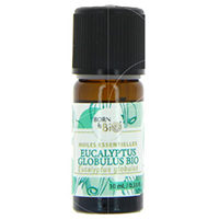 Aceite esencial Eucaliptus Globulus orgánico 10 ml