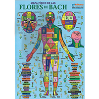 Lámina mapa físico de las flores de Bach plastificada