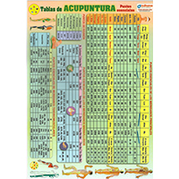 Lámina tabla de acupuntura puntos esenciales plastificada