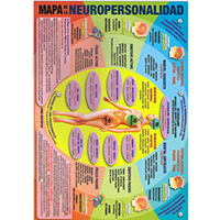 Lámina mapa de la neuropersonalidad plastificada