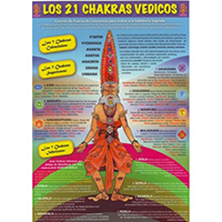 Lámina los 21 chakras vedicos plastificada