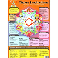 Lámina Chakra Svadhisthana plastificada