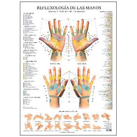 Poster reflexologia de las manos 67 x 50 cm.